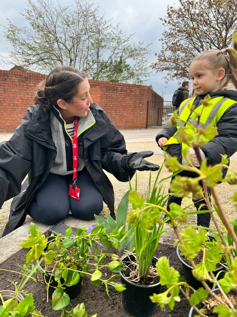 Community Gardens  Liverpool City Council