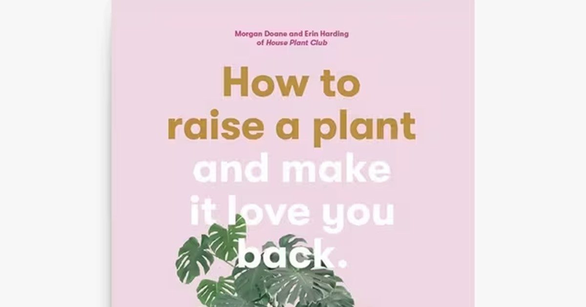 how to raise a plant JLP